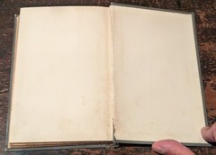 Yetta Segal by Horace J Rollin-NY: GW Dillingham-1898-1st Ed-Hardcover-174pages
