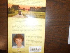 THE FIDDLER -BEVERLY LEWIS – 336 PAGES – PAPERBACK – PRE-OWNED – GOOD
