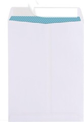 Bulk Pack of 100 9×12 Security Tinted Self-Seal Catalog Envelopes