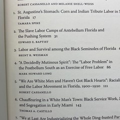 Florida’s Working-Class Past Current Perspectives on Labor Race Gender Hardcover
