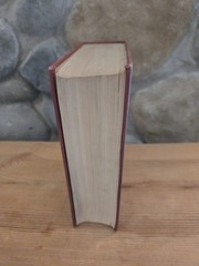 The Practitioners Library of Medicine and Surgery 1935 Pediatrics