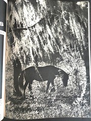 Popular Photography Magazine August 1957 35 Cents Retro Advertising Vintage