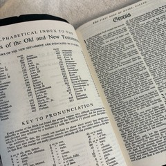 Holy Bible KJV Red Edges Self Pronouncing World Publishing 1950s Vtg BOX Great