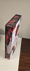 The Mindfuck Series By S.T. Abby Mystic Box Edition – Signed