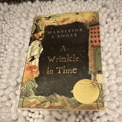 A Wrinkle in Time Madeleine L’Engle Square Fish Paperback Fantasy Time Travel
