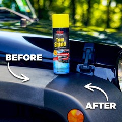 Trim Shine Restorer for Cars – Black Plastic & Vinyl Protectant Coating – 12 oz