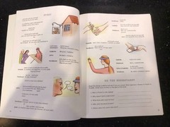 Instant Immersion French Lab Training Guide, Workbook & CDs Topics Entertainment