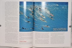 LOT (6) The Surfer’s Journal Magazines (1997-2009; Volumes 6-18)