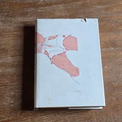 Shinchosha Saiichi Maruya Hardcover Japanese Novel Hardcover Book
