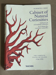 Albertus Seba Cabinet of Natural Curiosities Book Multilingual Edition Paperback