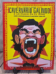 Cavernario Galindo O La Furia En El Ring – Lucha Libre Book – 238 Pages – Arana
