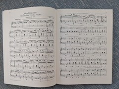 Waltzes : 48 Original Piano Pieces by Hal Leonard Corp. Staff 96 Pages