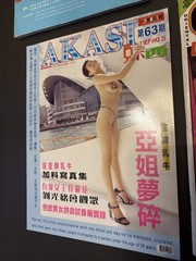 Rare Early 2000s Young Magazine Adult Asian Photo Book Lot Of 6 Hong Kong Akasi