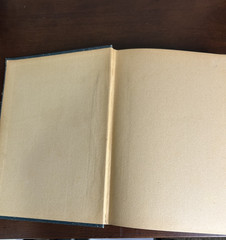 LIFE OF GENERAL WILLIAM T SHERMAN – 1902 Memorial Edition – CIVIL WAR RARE BOOK