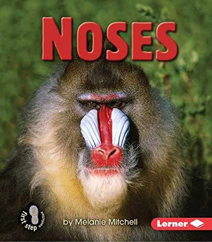 Noses (First Step Nonfiction ― – Paperback, by Mitchell Melanie – Acceptable
