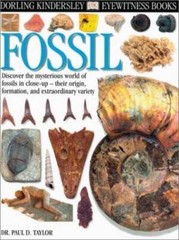 Eyewitness: Fossil – Hardcover By Taylor, Paul – GOOD