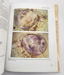 The Cambrian Fossils of Chengjiang, China The Flowering of Early Animal Life HC