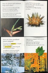 2nd Grade LIFE SCIENCE Curriculum Readers (12 books) Teachers/Homeschool/Tutors