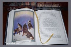 New Call of the Wild by Jack London Illustrated Leather Bound Sealed Collectible