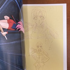 Revolutionary Girl Utena Art Book The hard core of UTENA Animation Side