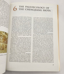 The Cambrian Fossils of Chengjiang, China The Flowering of Early Animal Life HC