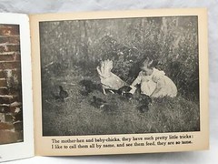 Adorable Antique Children’s Book COUNTRY PLAYMATES Great Color Images 12.25×9.75