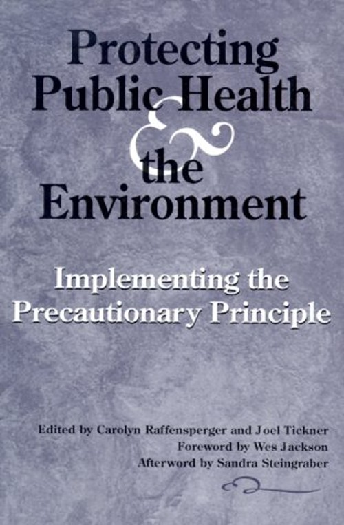 Protecting Public Health and the Environment : Implementing the P