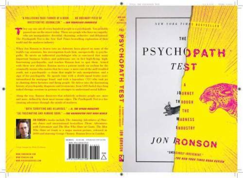 The Psychopath Test: A Journey Through the Madness Industry – Paperback – GOOD