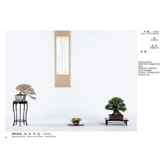 50th Gafuten Bonsai Exhibition Book Shohin Tree Pot Display Photo Book 10.1in