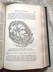 Antique, Principles Of Surgery, Nicholas Senn, 1891, 1st. Ed., Illustrated