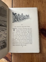 THE CALL OF THE WILD Jack London Antique 1906 Macmillan Illustrated Decorative