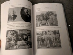 THE SHIRE DRAFT HORSE CHROICLES England/America **SIGNED**A.Wareing 2022 Hardcov