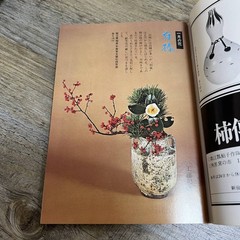 J-404 Antique Monthly Magazine Small Bud January 1972 No.24Year Talk Sogensha Bi