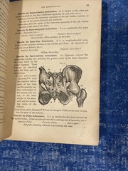2- Rare Antique Books on Practice of Medicine Quiz-Compends Anatomy & Surgery