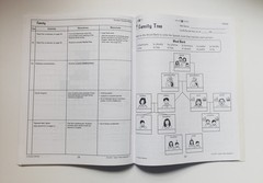 Teach Them Spanish Grade 3, lessons, worksheets & activities (Brand New)