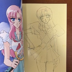 Revolutionary Girl Utena Art Book The hard core of UTENA Animation Side