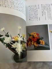 Flower materials and ikebana (Shinchosha) Paperback