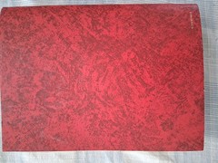 The Amplified Bible Giant Print Lockman Foundation Large Easy to Read AMP Bible