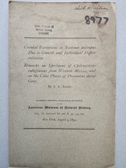 Cranial Variations Neotoma Chilonycteris and Pteronotus Mexico J. A. Allen 1894!