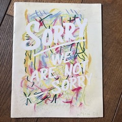 William Eggleston – Sorry We Are Not Sorry 1st Edition (slight marks on cover)
