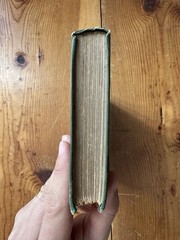THE CALL OF THE WILD Jack London Antique 1906 Macmillan Illustrated Decorative