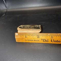 1820 1st Edition Lansingburgh, NY Miniature Leather “Thumb Bible” Illustrations