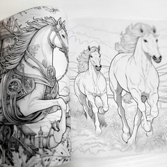 Magical World of Horses 8″x8″ Paperback Coloring Book w/ 20 Pages of 40 Images