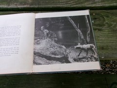 2 Children’s Book Pub. by Oxford University Press, FLOP-EARED HOUND/Real Photos