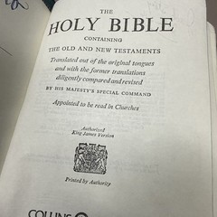 Collins World Vintage Illustrated Zip Up Holy Bible
