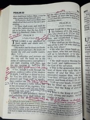 The Amplified Bible Giant Print Lockman Foundation AMP Bible SEE DETAILS