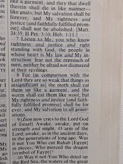 The Amplified Bible Giant Print Lockman Foundation Large Easy to Read AMP Bible