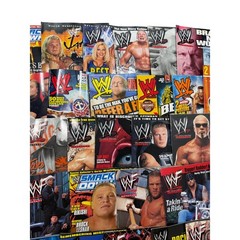 READ Lot of 30+ Vintage WWF WWE SmackDown Magazines 2000-2003 The Rock brock