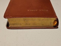 Cambridge Red Letter Edition Holy Bible Bonded Leather Indexed Concordance