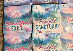 Sparrow Falls Series by Catherine Cowles -Complete Set of 6 volumes Paperback